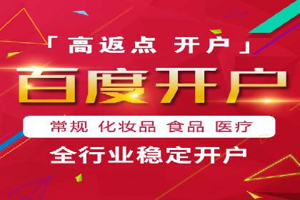SEM竞价优化策略：成功案例解析